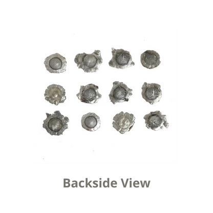Backside View Bullet Slices