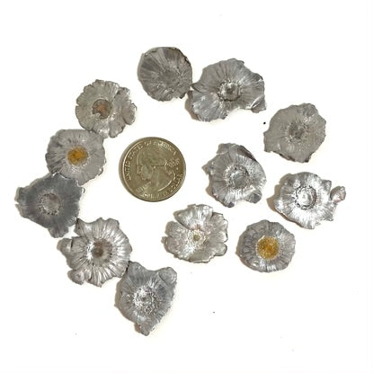 Quarter Size Reference