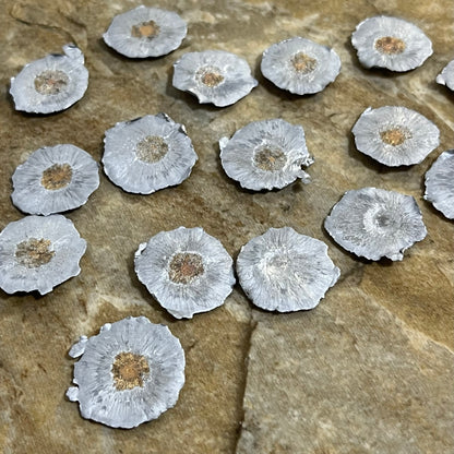 45 ACP Fired Bullets Fragments Splatter Slices Shrapnel Used, Spent Shells DIY Bullet Jewelry Qty 6 Pcs
