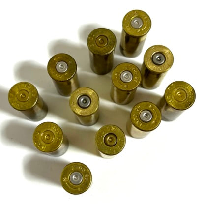 Eleven gold .45 Colt brass casings standing upright on a white background, showing silver primers