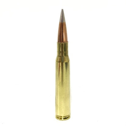 50 Cal BMG Dummy Round
