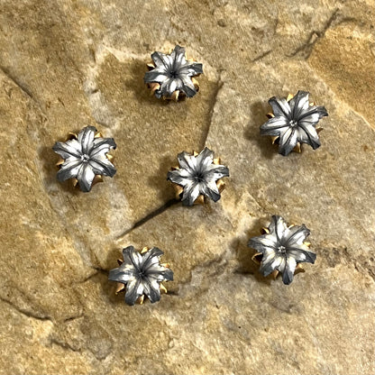 9MM Caliber Bullet Blossoms