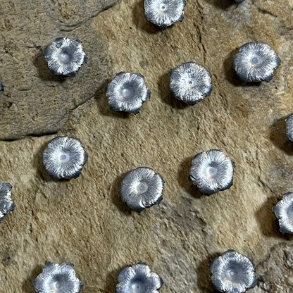 9MM Bullet Blossoms Silver Gray Qty 3 Pcs