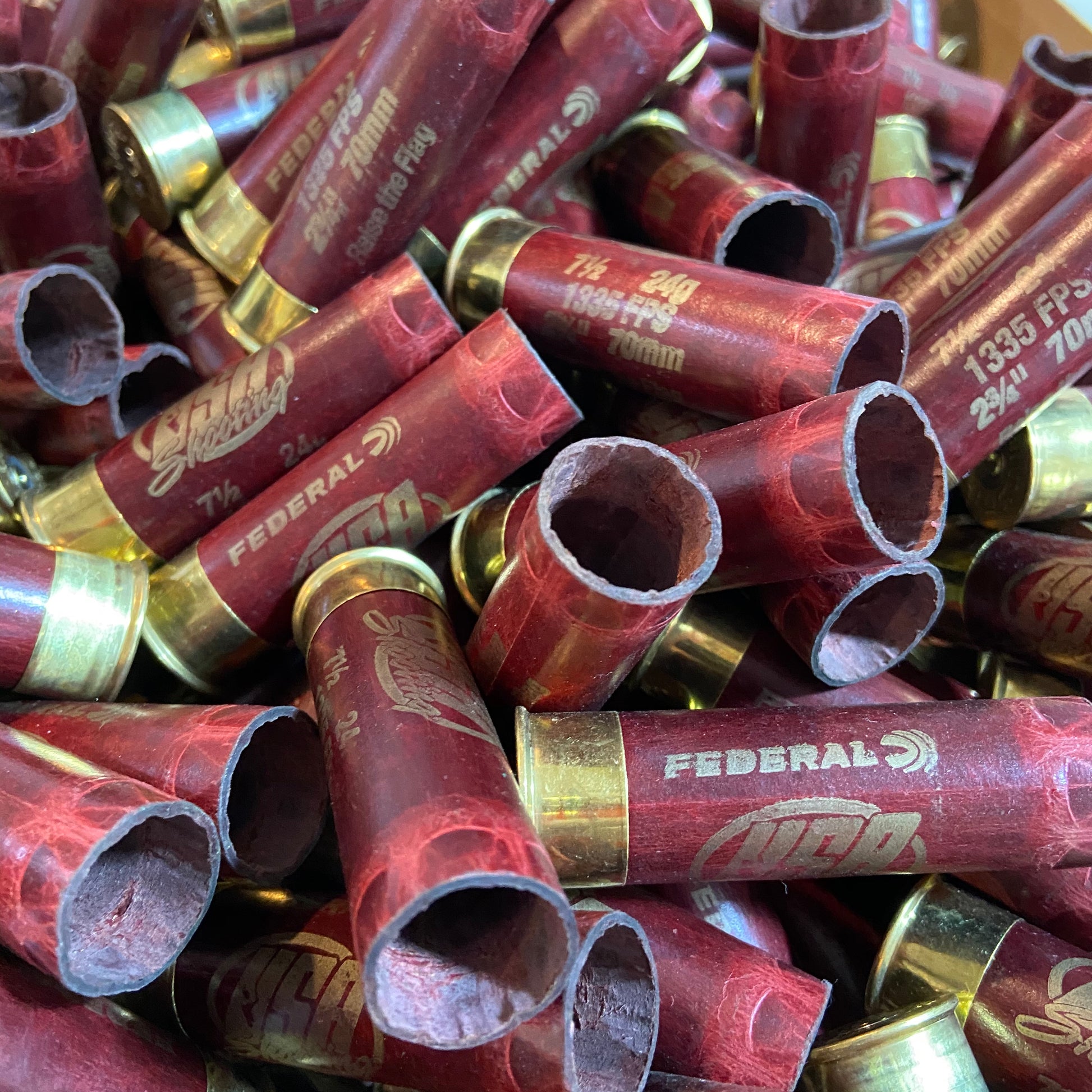 Empty Red Shotgun Shells