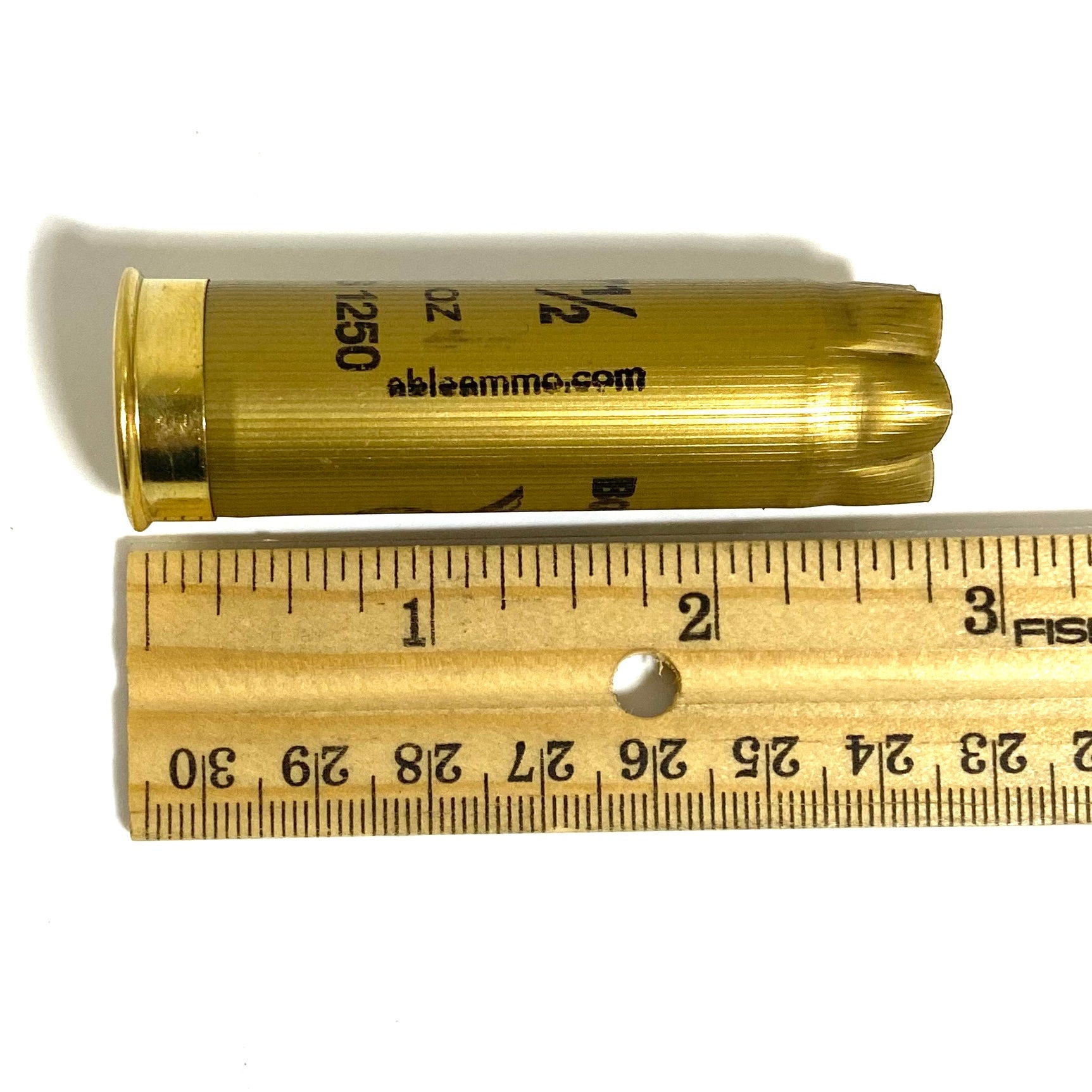 Empty Gold Shotgun Shells Size Dimensions