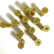 Load image into Gallery viewer, Headstamps Gold With Yellow 20 Gauge Hulls
