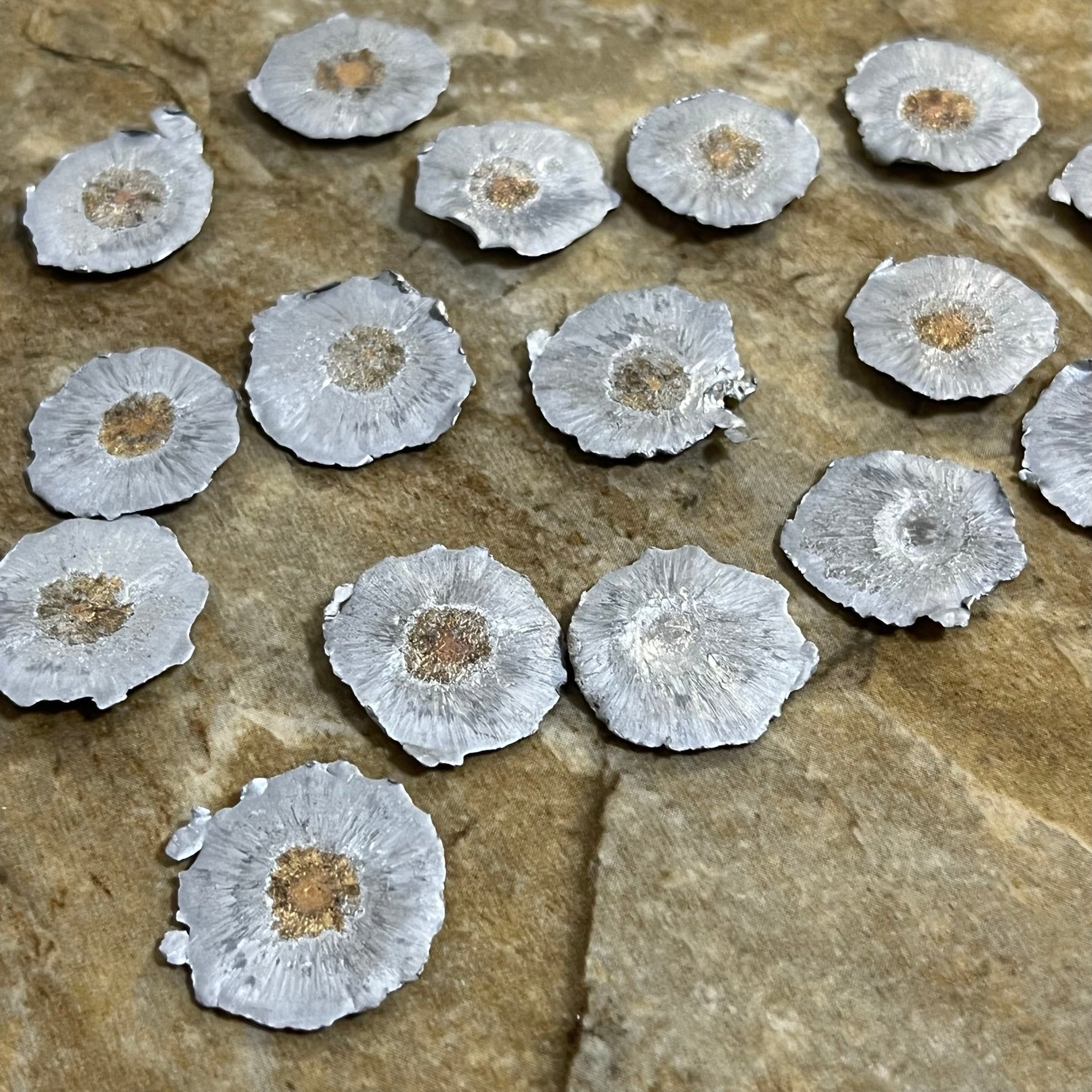 45 ACP Fired Bullets Fragments Splatter Slices Shrapnel Used Ammo Spen ...