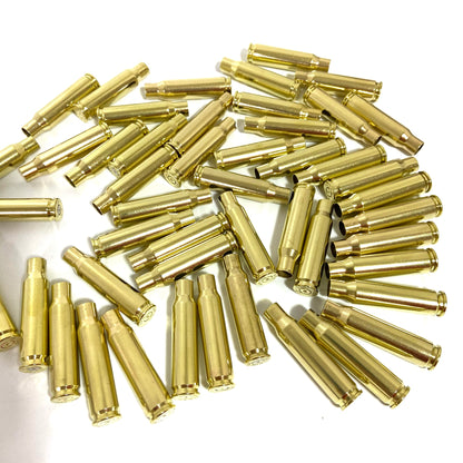 308 7.62x51 WIN Brass Shells Bullet Casings Empty Used Spent Rounds Cleaned Polished DIY Bullet Jewelry Steampunk Bullet Necklace 100 Pcs - FREE SHIPPING