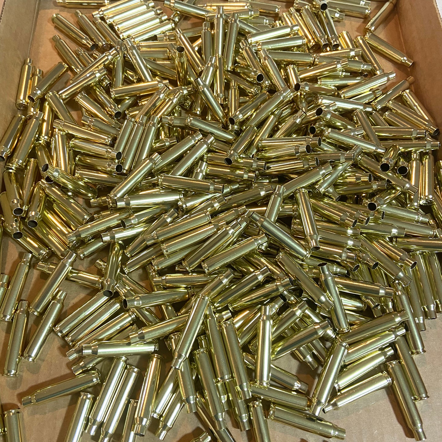 Once Fired Polished Brass Shells