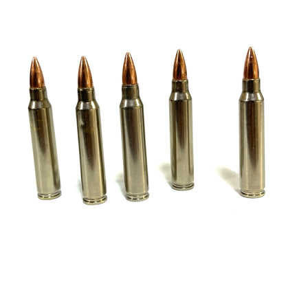Realistic Look and Feel Dummy Ammunition