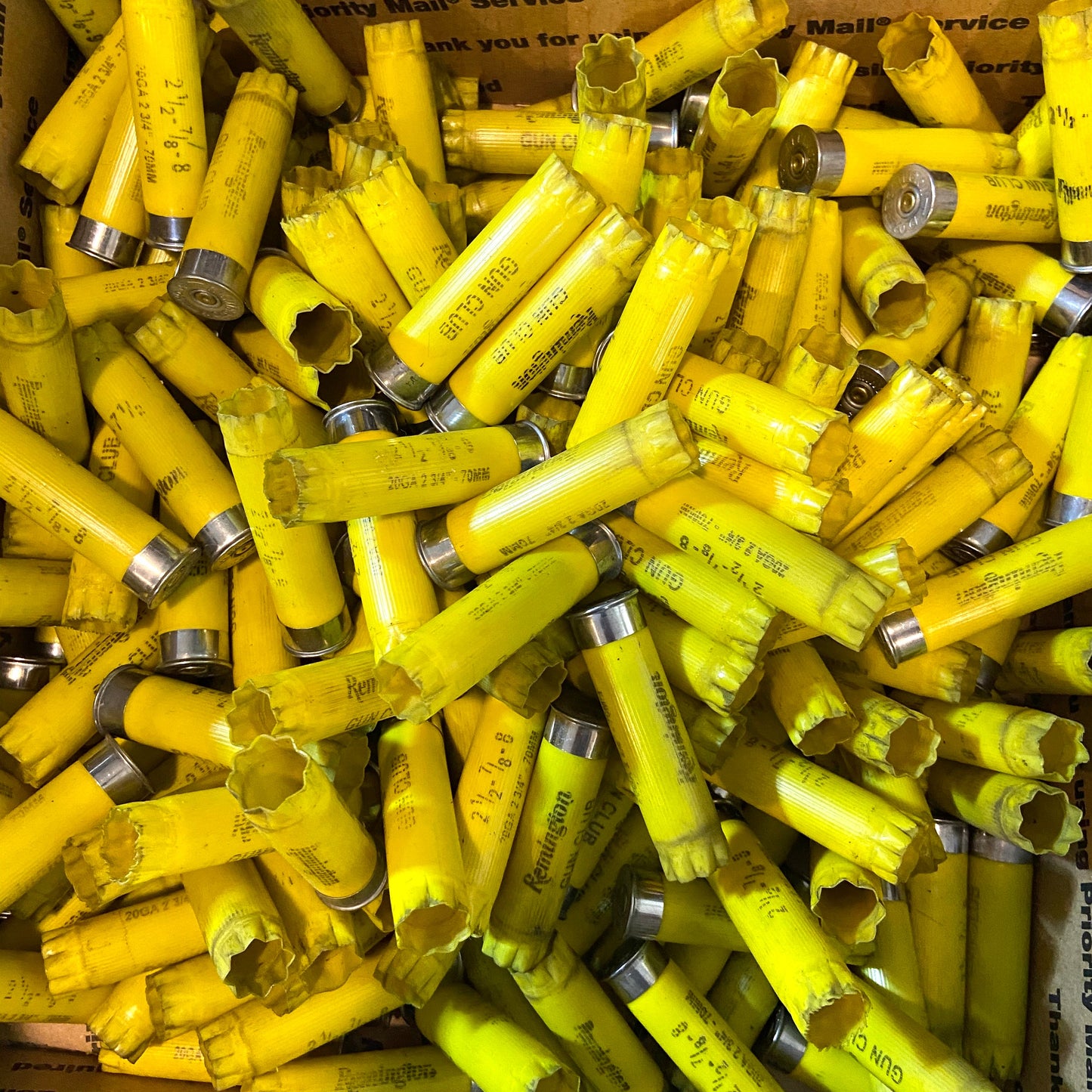 Once Fired Hulls Yellow Silver Bottoms