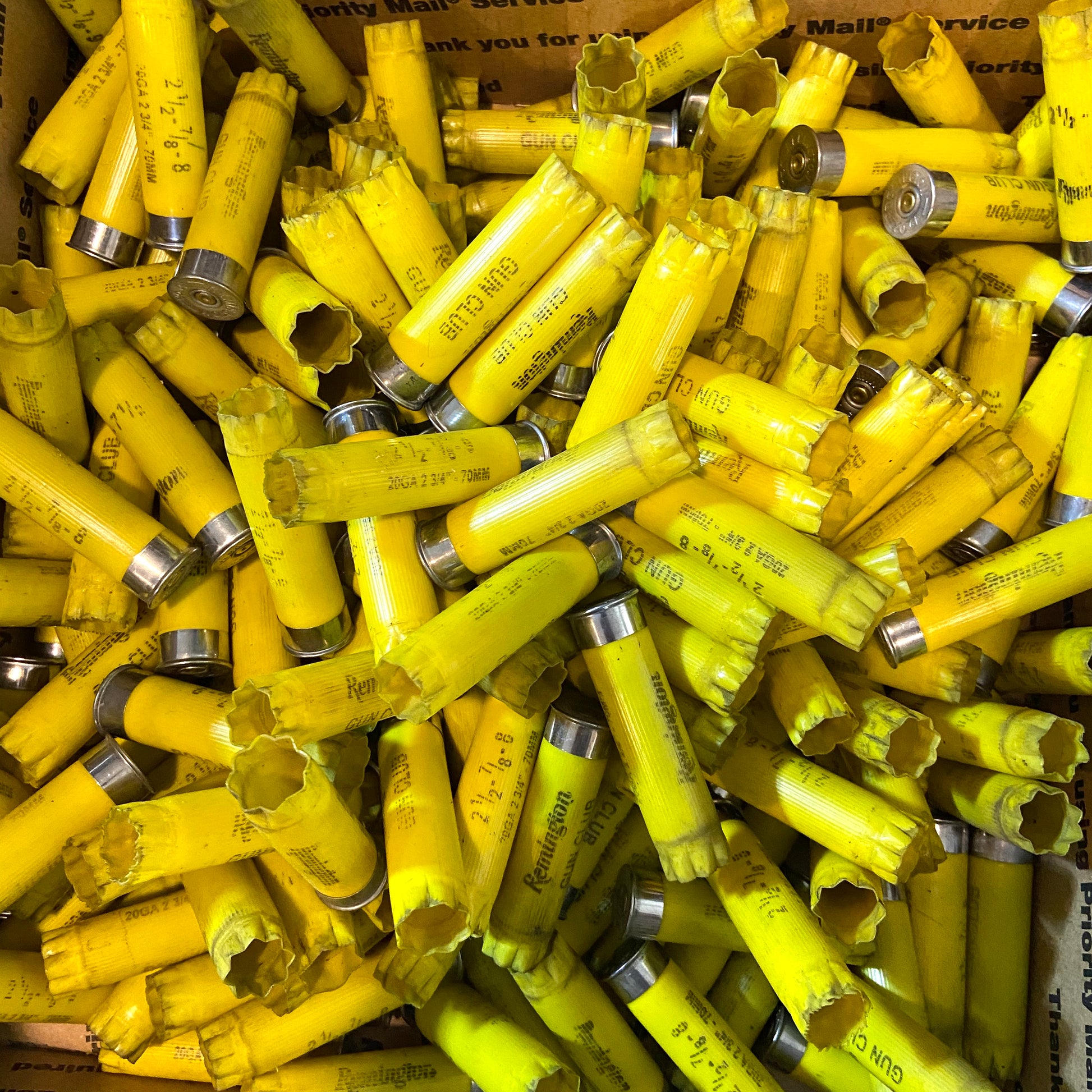 Bulk pile of yellow Remington Gun Club shotgun shells packed tightly in a cardboard shipping box, many with torn or open crimped ends and visible headstamp markings