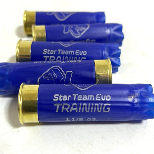 Blue Shells For Crafting Projects