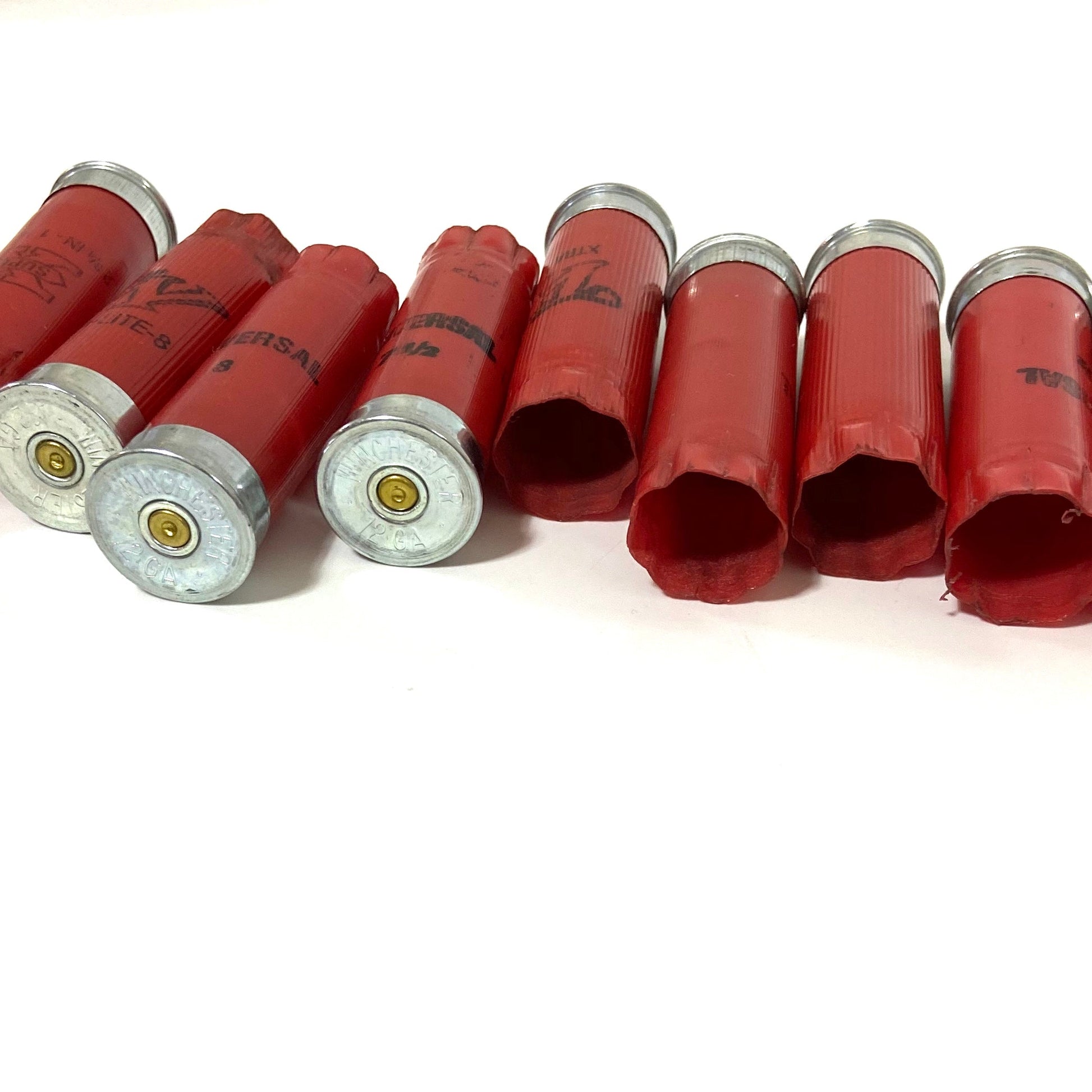 Seven red 12 gauge used shotgun hulls in a horizontal fan showing silver bases on the left and open top mouths on the right.