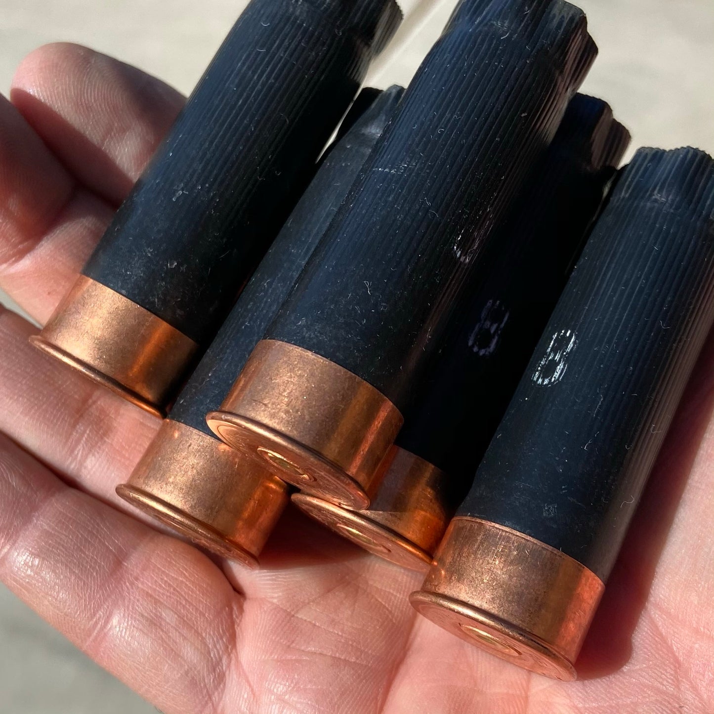 Used Hulls Black 12 Gauge
