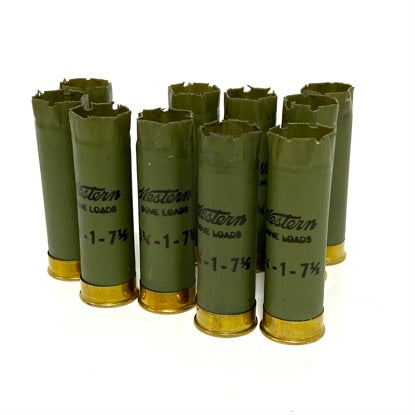Western Green Shogun Shells Used