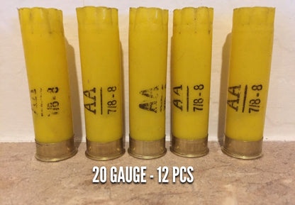 Five once-fired yellow 20-gauge Winchester AA hulls stand in a row, showing 'AA 7/8-8' markings on each.