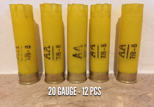 Five once-fired yellow 20-gauge Winchester AA hulls stand in a row, showing 'AA 7/8-8' markings on each.