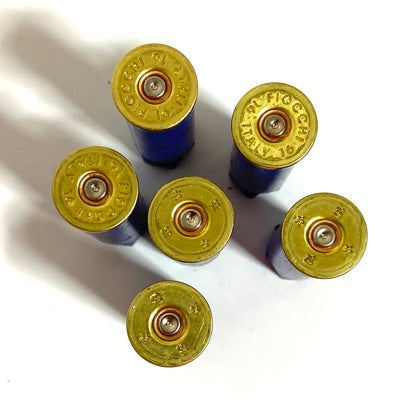 Headstamps Gold With Blue Hulls 16GA