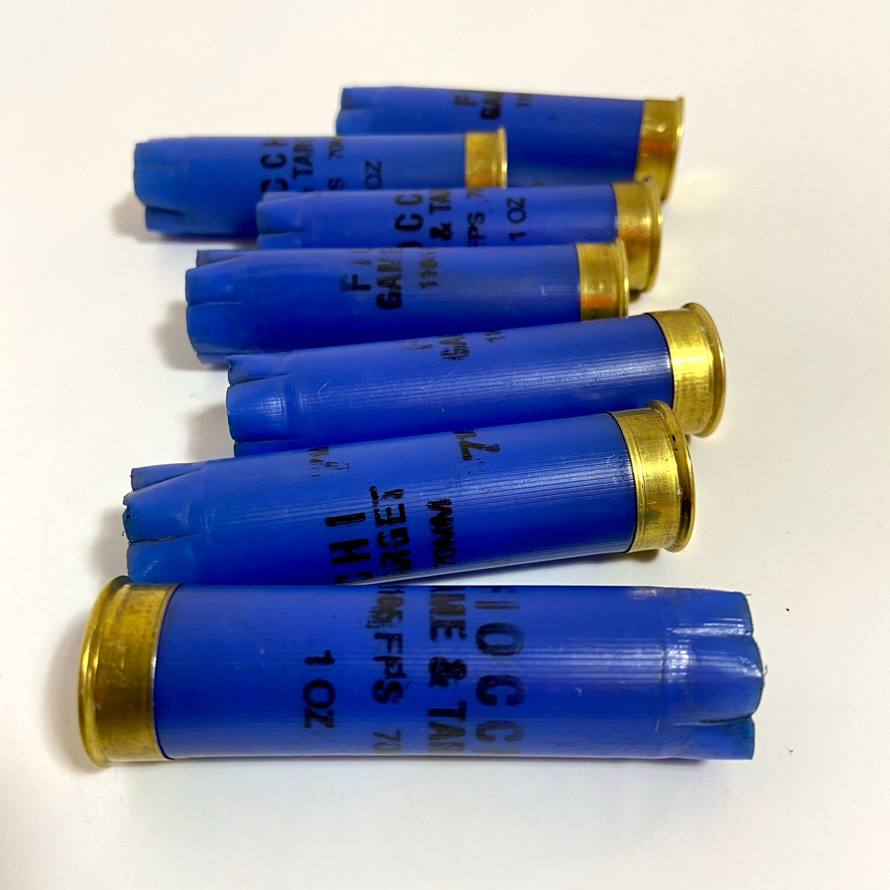7 blue fiocchi 16 gauge empty shotgun shells lined up on a white background laying flat