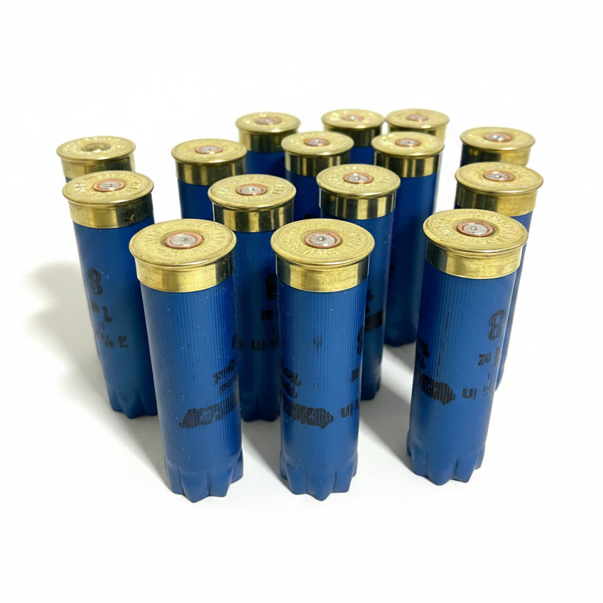Standing group of blue Challenger shotgun shells showing gold headstamps and primers