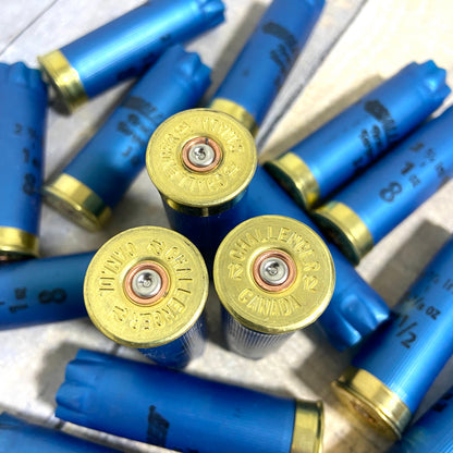 Close-up of Challenger Canada 12 gauge headstamps and struck primers on blue shells