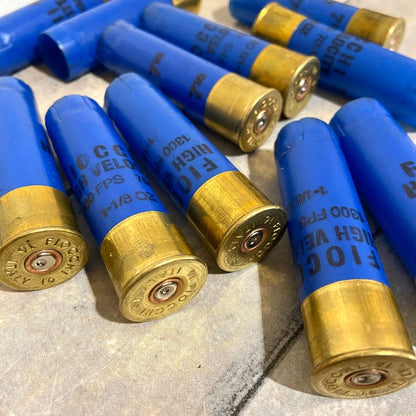 8 blue Fiocchi 16 gauge shotgun shells lying together showing brass heads and headstamp text
