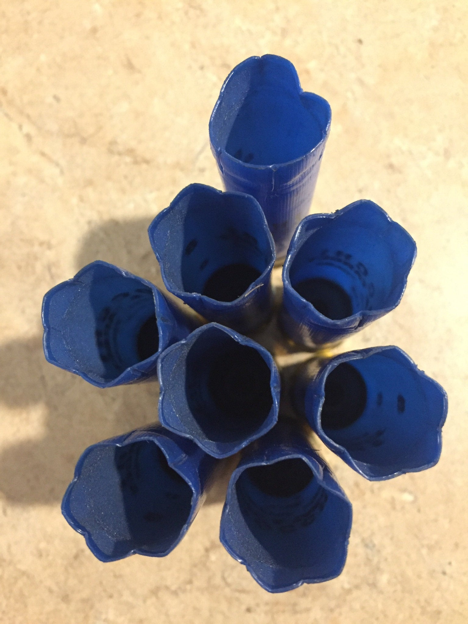 Overhead view of 8 blue Fiocchi 16 gauge empty shotgun shells arranged in a circle