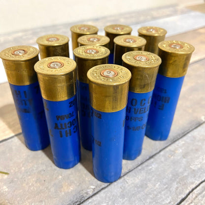 10 blue Fiocchi 16 gauge shotgun shells standing upright with brass heads on a wood surface