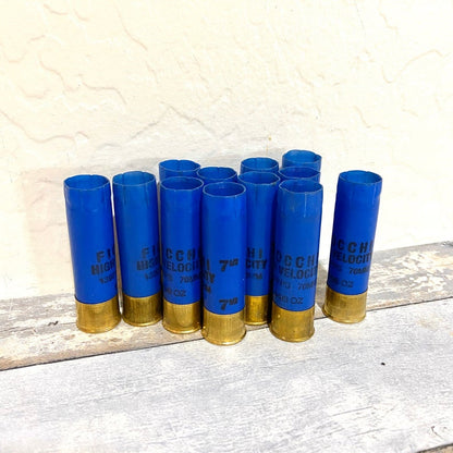 9 blue Fiocchi 16 gauge shotgun shells standing upright against a white wall