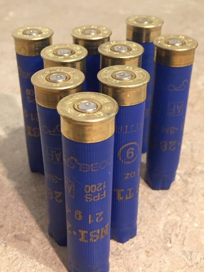 Eight blue 28 gauge shotgun shells standing upright with brass crimped tops, printed load markings visible