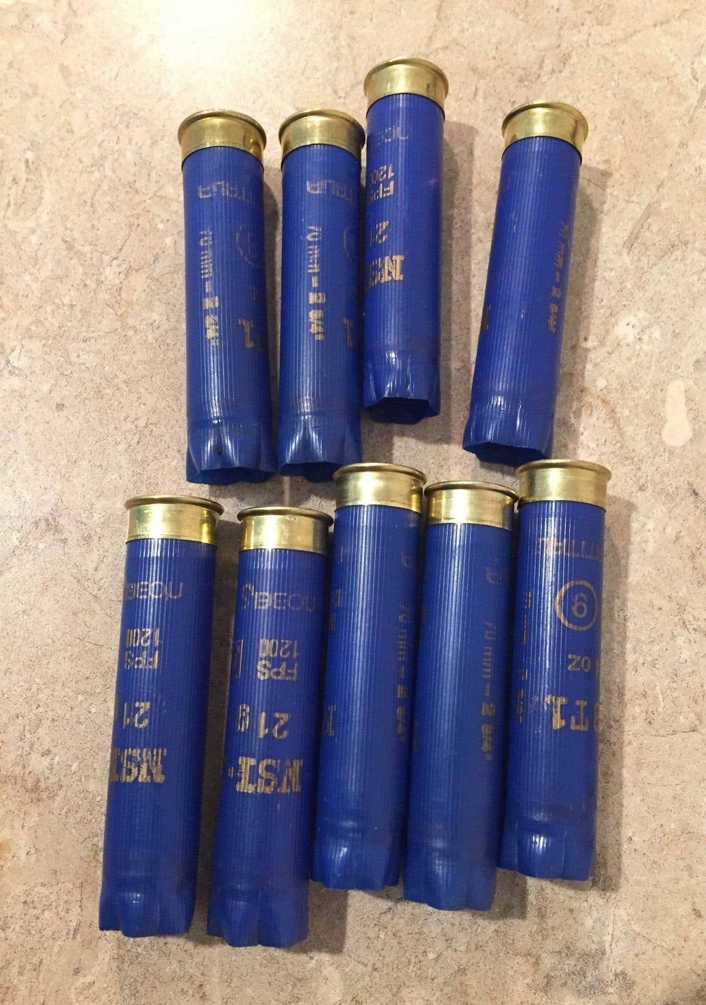 Nine blue 28 gauge shotgun shells lying on their sides with brass crimped tops, printed markings visible