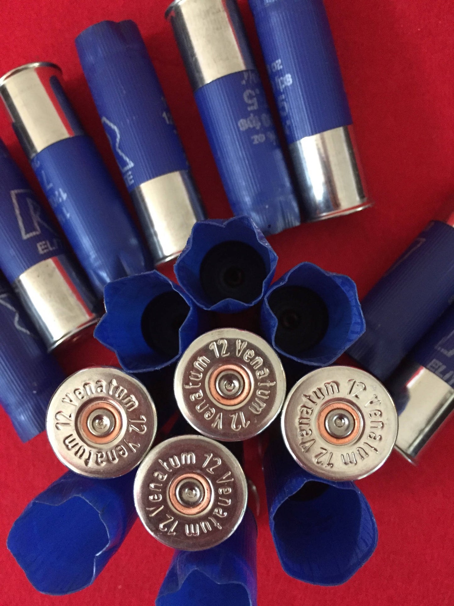 Several blue spent shotgun casings standing up to show silver headstamps engraved with Venatum 12 on a red surface.