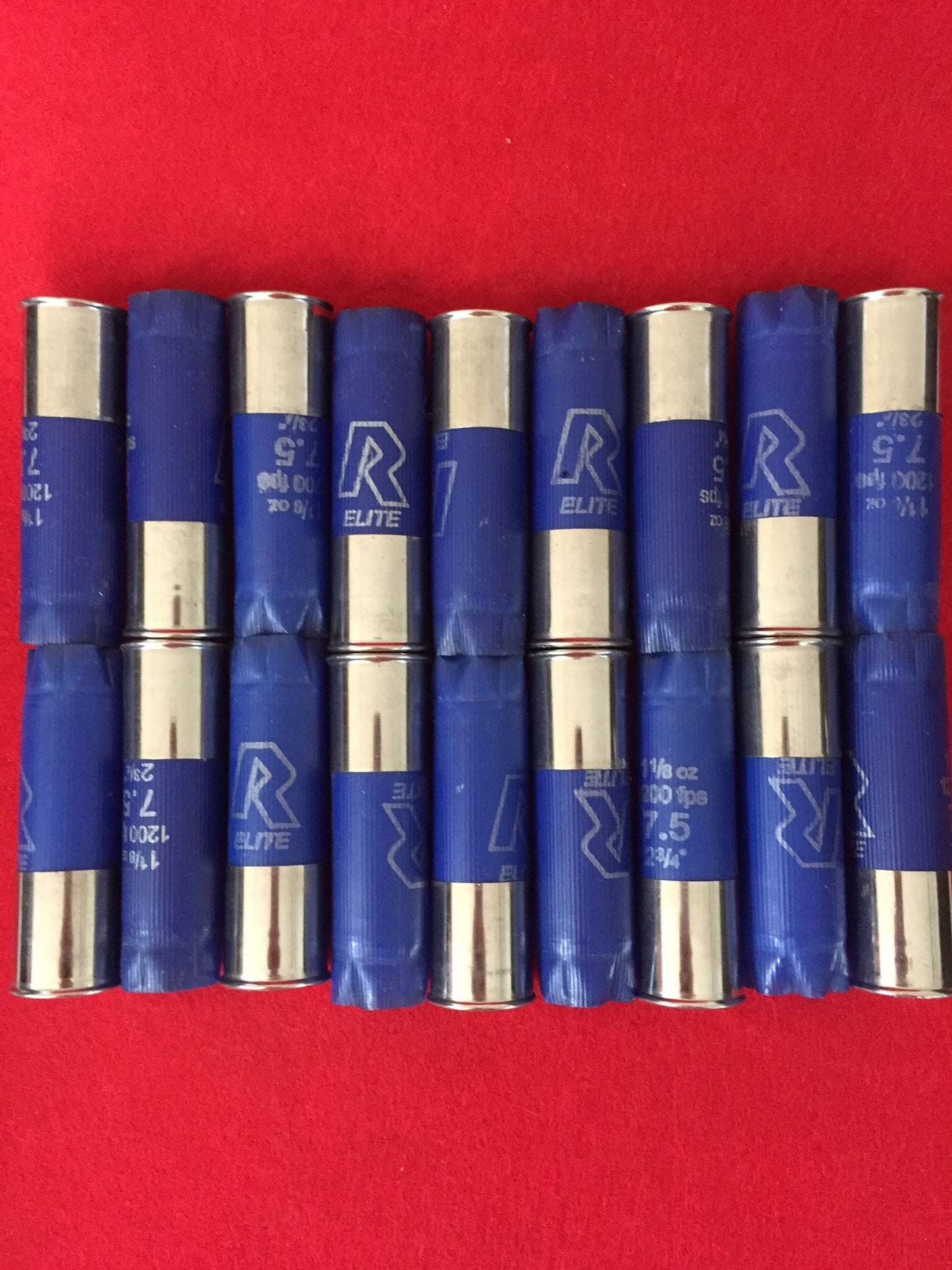 A neat row of blue shotgun hulls for crafts standing upright showing their silver metal bases on a red surface.
