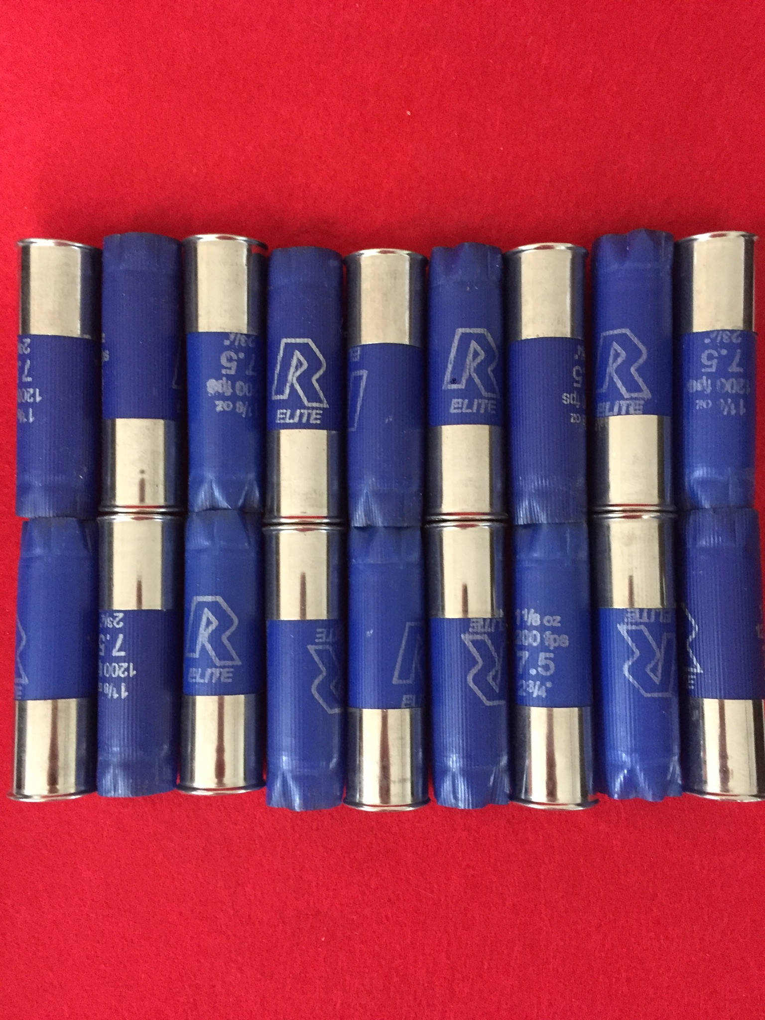 A neat row of blue shotgun hulls for crafts standing upright showing their silver metal bases on a red surface.