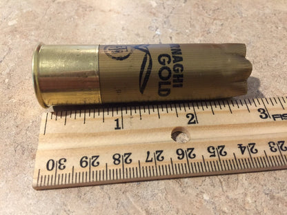 Empty Gold Shotgun Shells Size