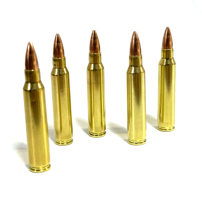 Five brass dummy cartridges standing in a diagonal row on a plain white surface.
