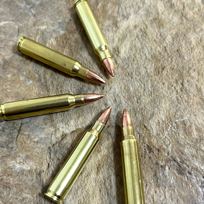 Five brass dummy rifle rounds arranged in a semi-circular fan shape on a textured rock surface.