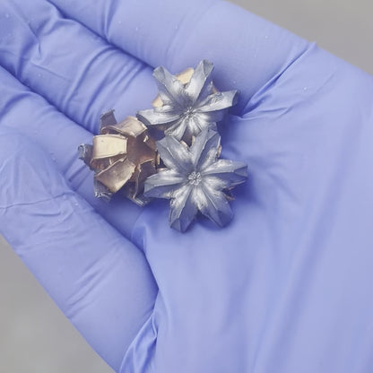 Bullet Blossom Flowers