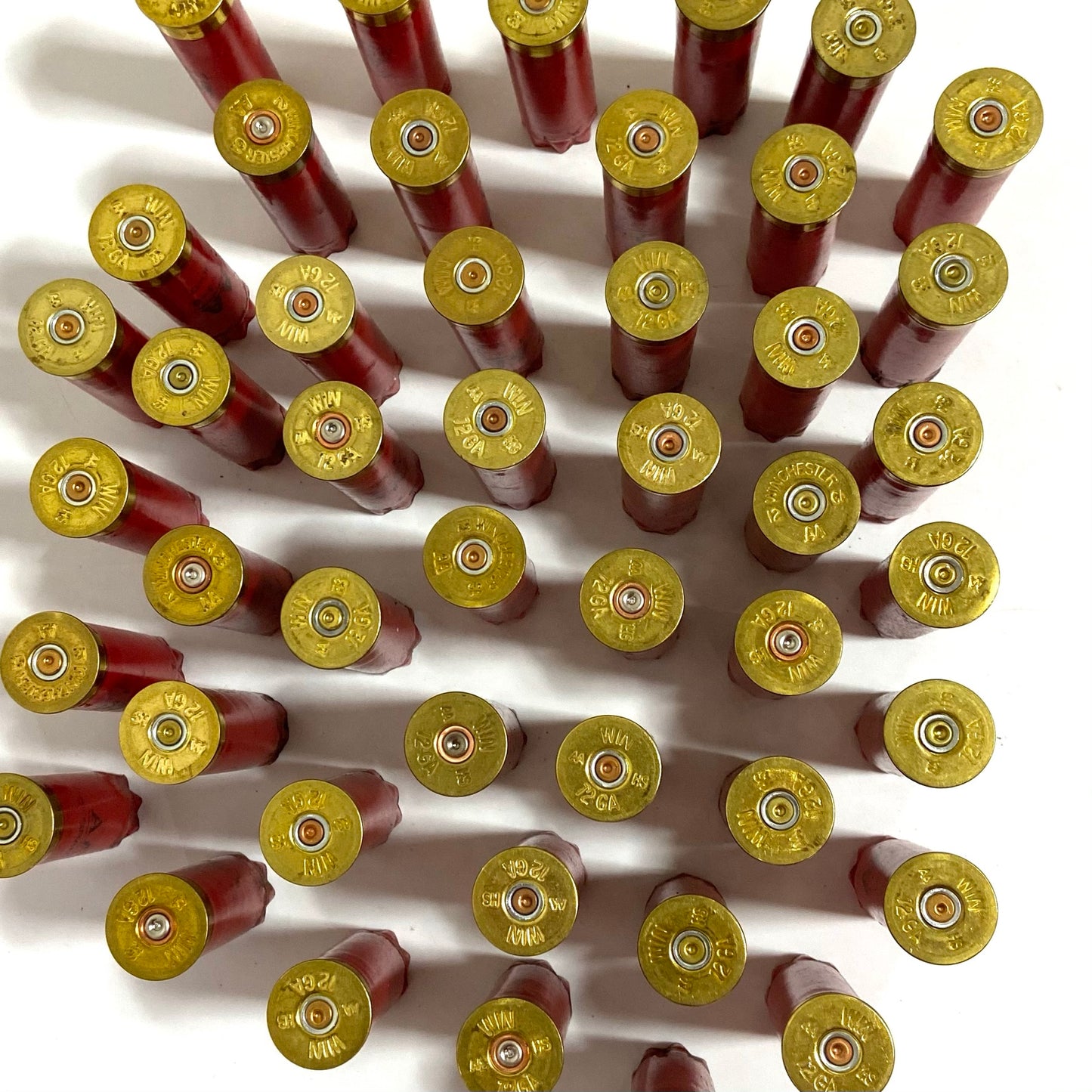 Red AA shotgun casings fanned out overhead, showing brass headstamps with visible '12' spent primersmarkings