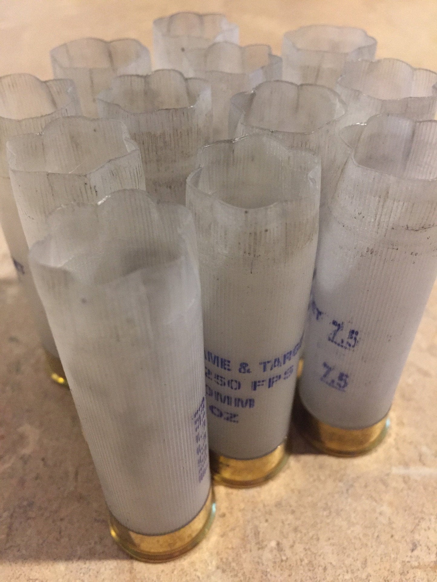 Cluster of translucent white Fiocchi 12 gauge shotgun shells with brass heads viewed from an angle