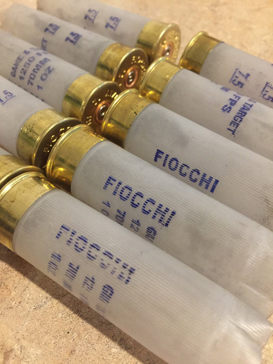 Translucent white Fiocchi 12 gauge shotgun shells with brass heads showing Game and Target headstamp text