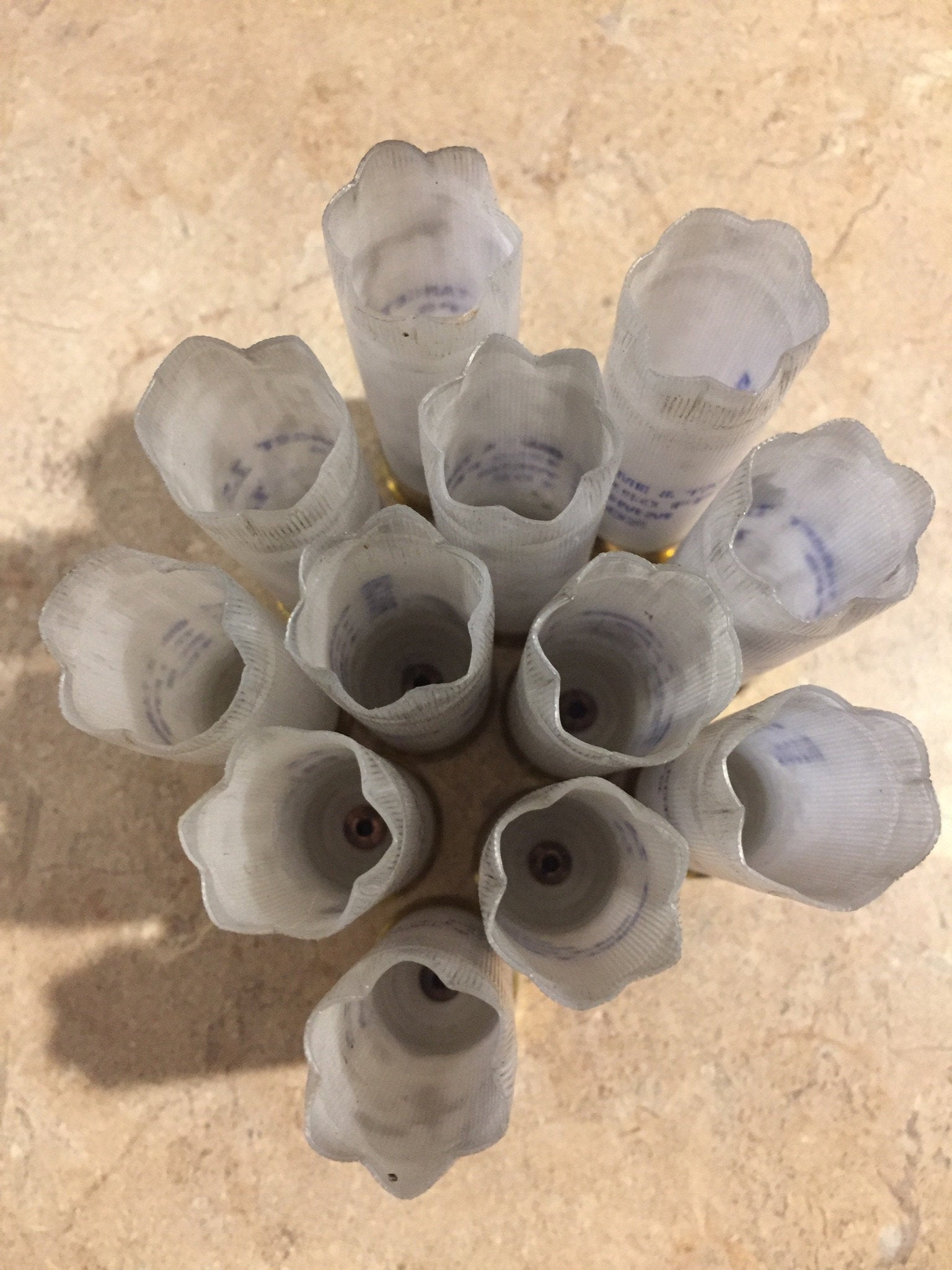 Open mouths of translucent white Fiocchi 12 gauge shotgun shells viewed from above in a cluster