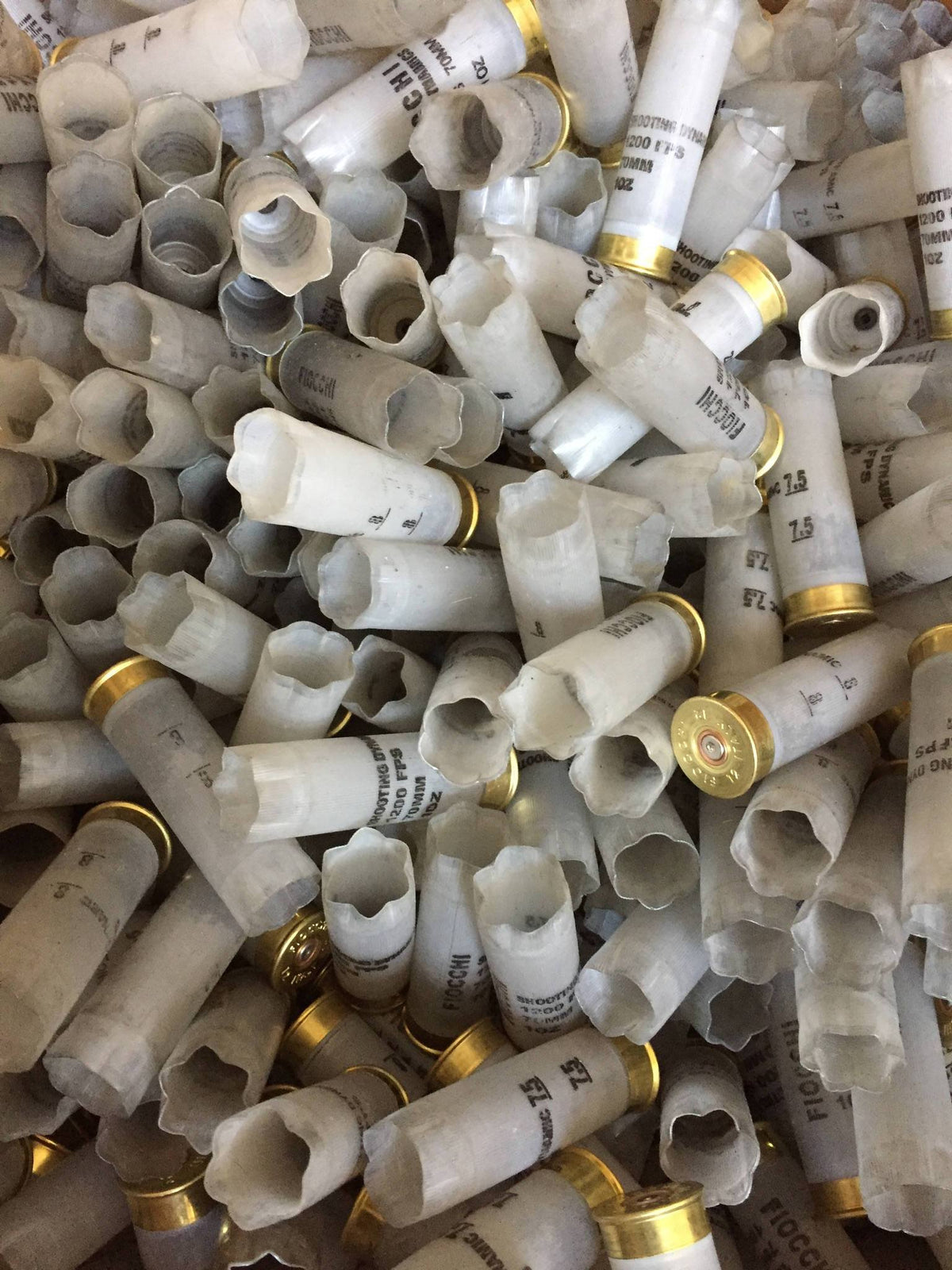 Translucent Clear 12 Gauge Hulls 