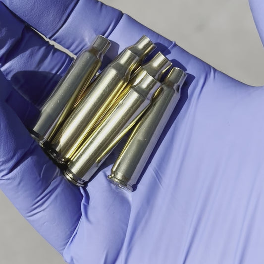 223 Brass Shells in blue gloved hand 
