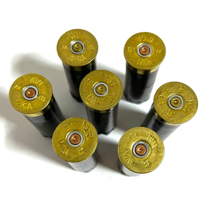 Six dark gray Winchester AA empty hulls standing upside down on a white surface, displaying legible brass 12 GA headstamps.