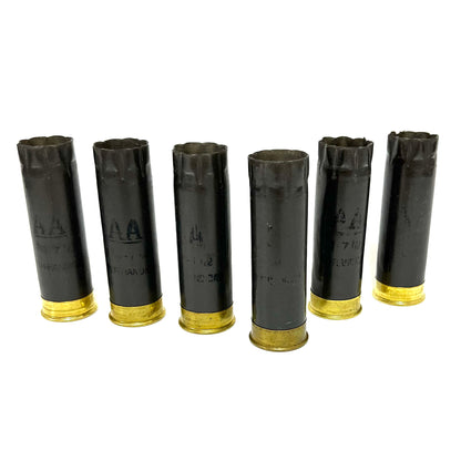 Six dark gray Winchester AA empty shotshells with brass bases standing upright in a staggered line on a white surface.