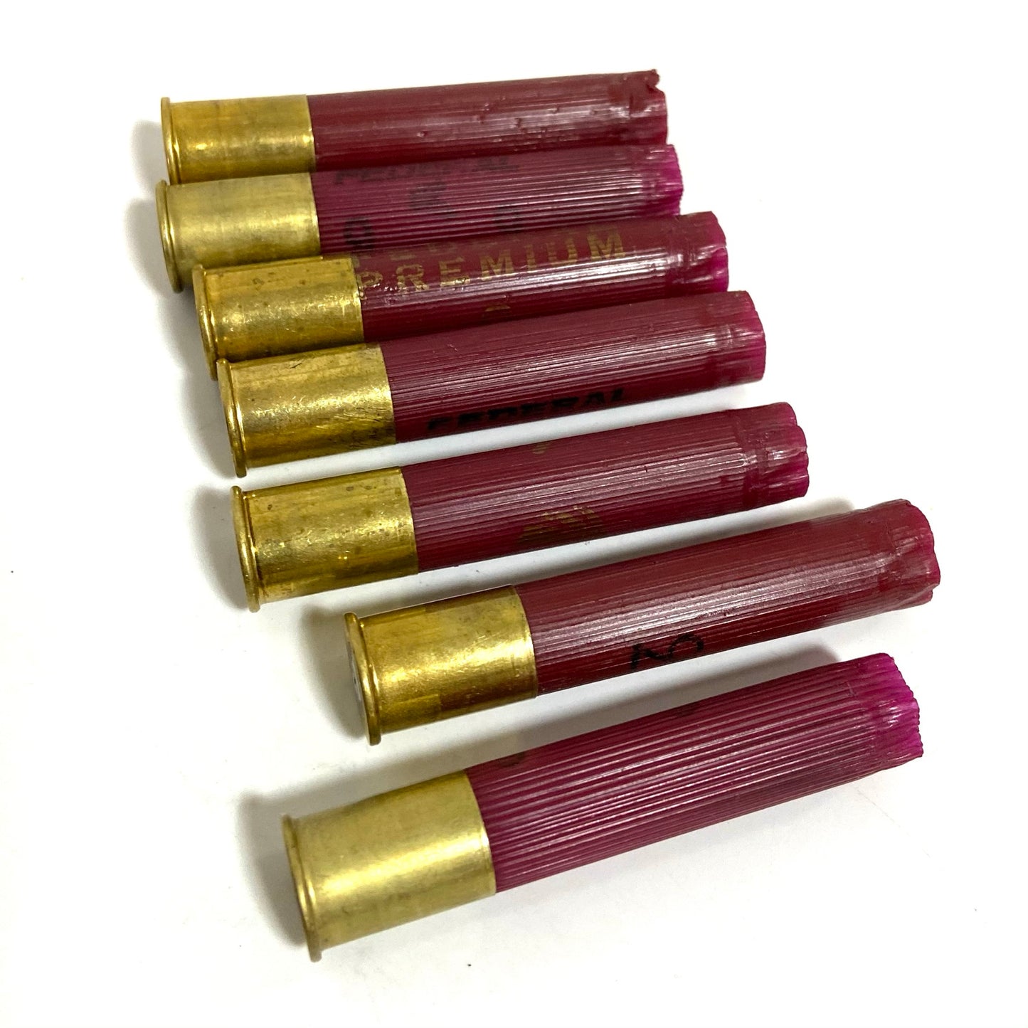 Seven dark red Federal 410 bore empty shotgun shells with gold high brass bases lined up on a white background