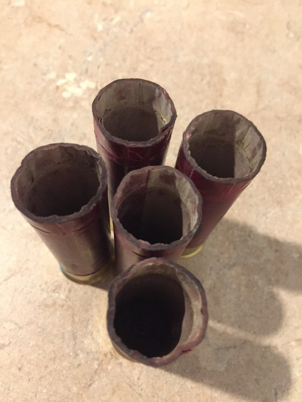 5 dark red paper hull shotgun shells standing open-end up showing torn crimps and brass bases