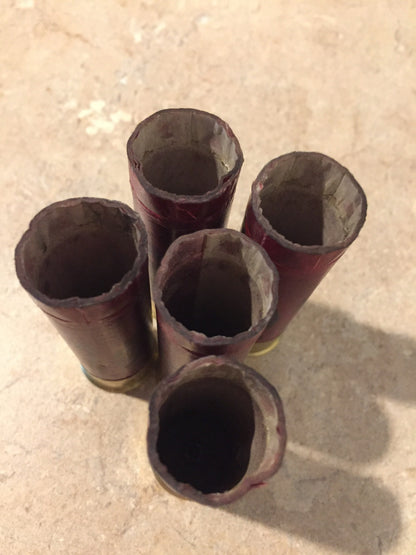 5 dark red paper hull shotgun shells standing open-end up showing torn crimps and brass bases